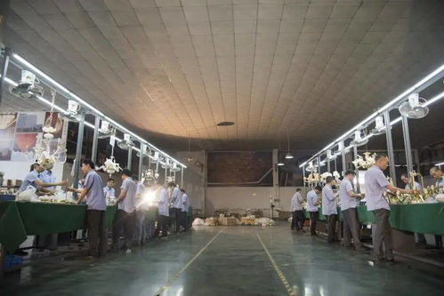 光影新境，幸福為燈 艾摩燈3.0極簡輕奢展廳與大師設計的共鳴